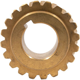 Worm Gear 20 Teeth