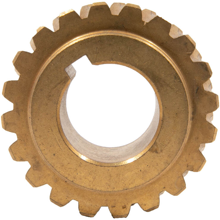 Worm Gear 20 Teeth