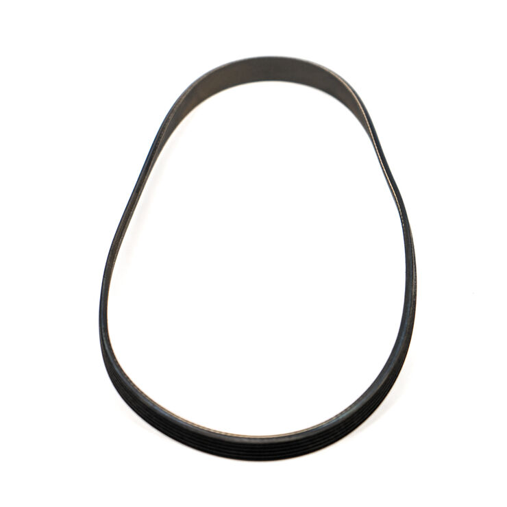 BELT-POLYVEE 23"