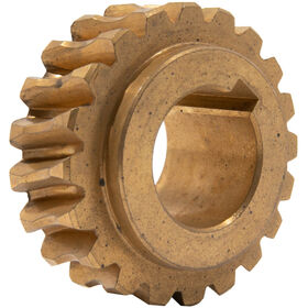 Worm Gear 20 Teeth