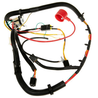 Harness