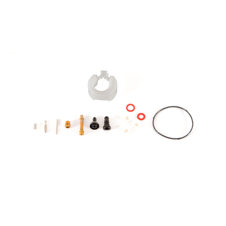 Carburetor Kit (Major)
