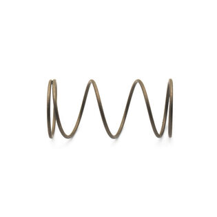 FILTER SPRING                 