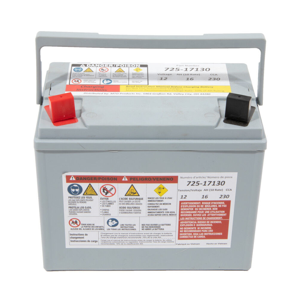 12 Volt Absorbent Glass Mat AGM Battery 230 CCA 725P17130