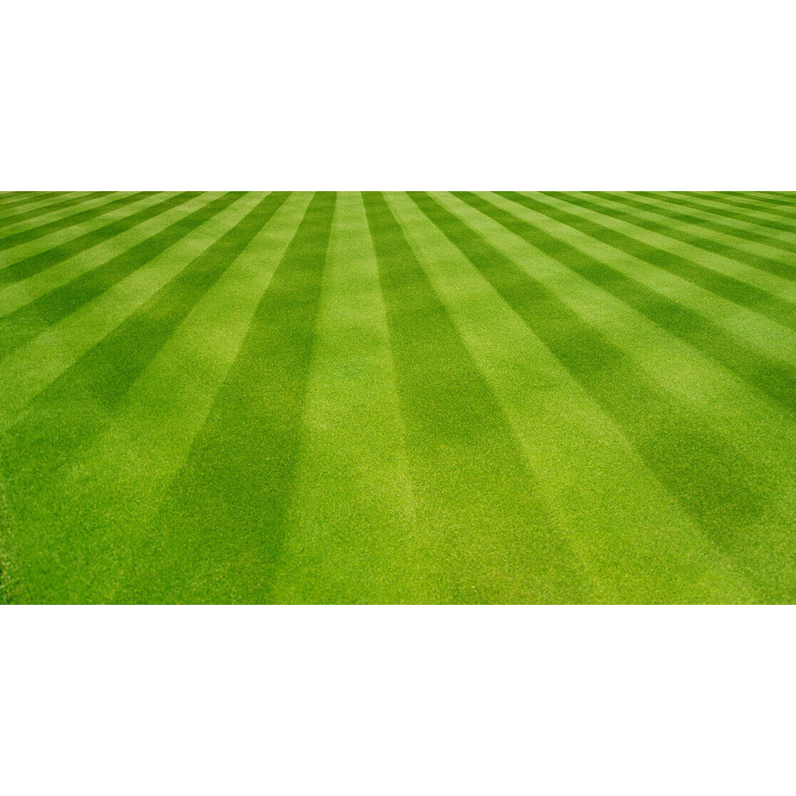 Lawn striper kit for riding deals mower