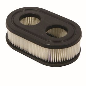 Air Filter for Briggs &amp; Stratton&reg; 550-625EX Engines