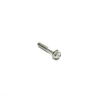 Flanged Bolt 6x35