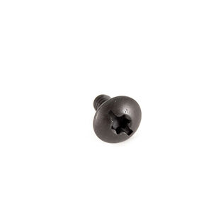 Screw-10 x .393