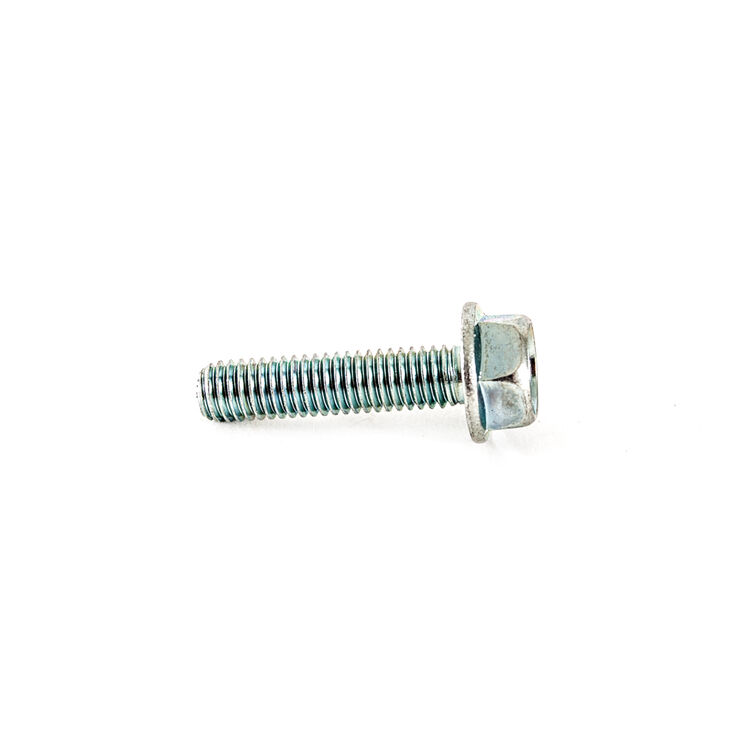 Hex Screw Flange