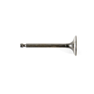 EXHAUST VALVE                 