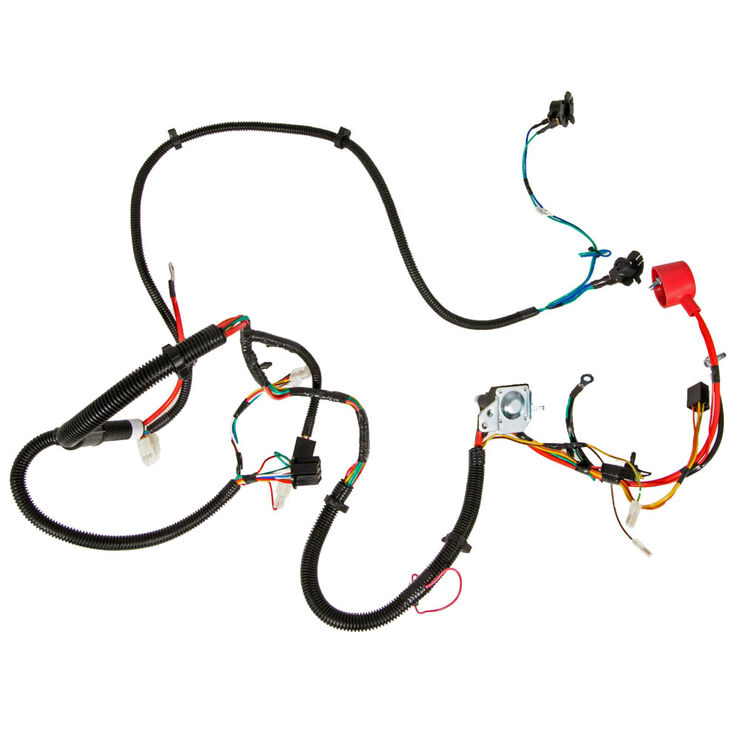 Main Harness