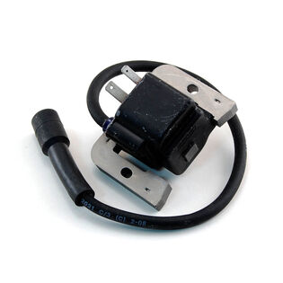 Ignition Module