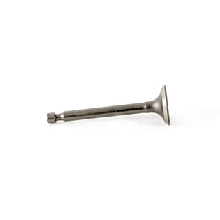 Intake Valve