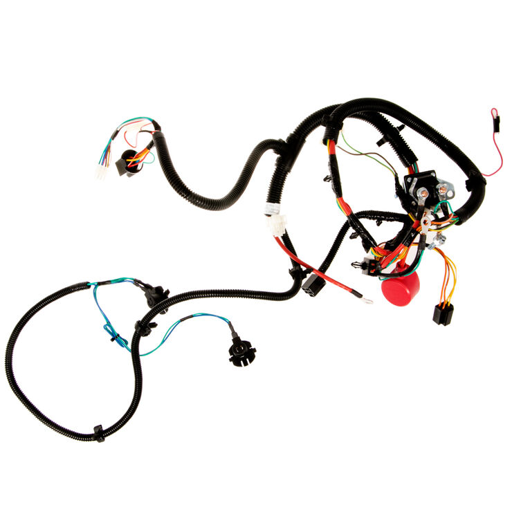 Harness
