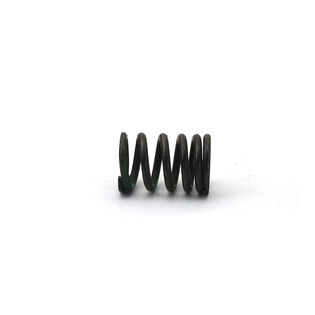 EXHAUST VALVE SPRING          