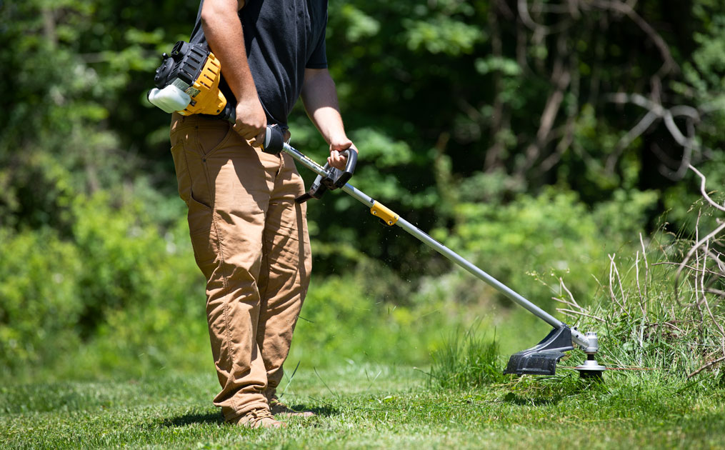 gas trimmer canada